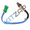 ������ ����������� ��������